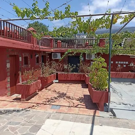 Villa The Palm Rural Beachside Icod De Los Vinos